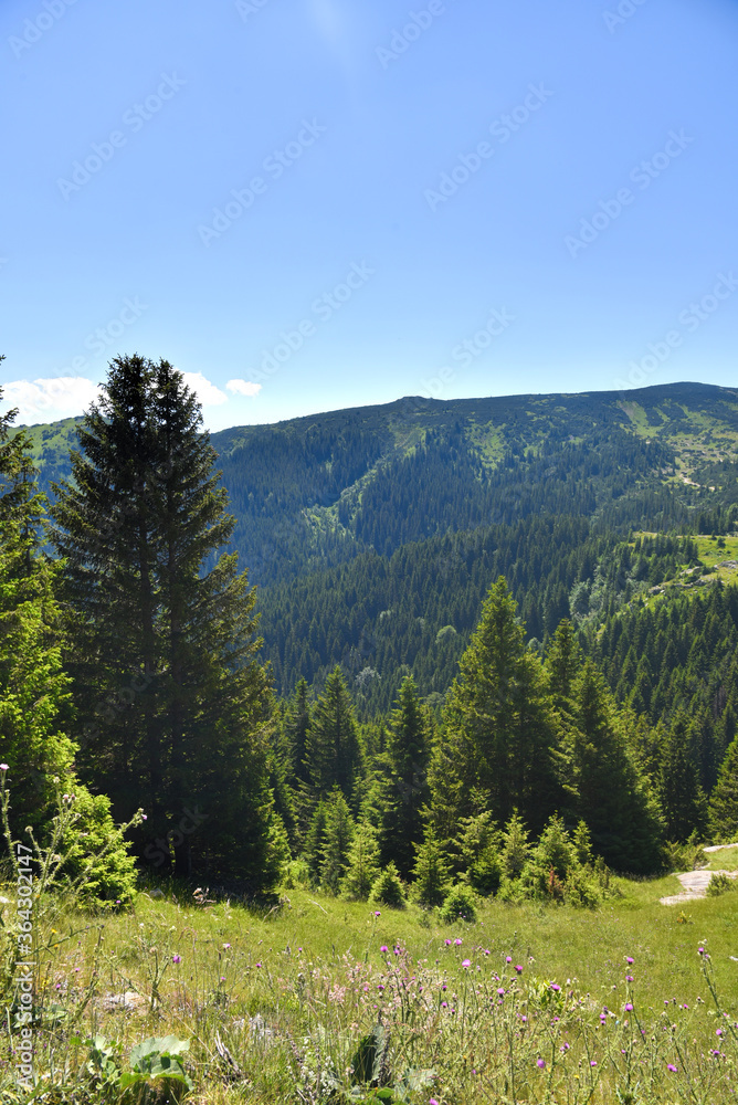 Fototapeta premium HDR outdoor landscape photography