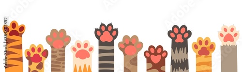Colorful cat paws set. Cute feline claws with stripes and dots isolated on white background. Domestic animal clutches, furry and clawed pets or kittens footprint in row vector illustration