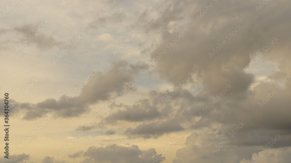 Obraz premium SONY DSC