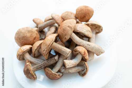 Fresh raw boletus mushrooms in white plate on white background.