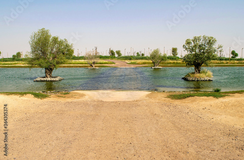 Artificial lake in the middle of the desert in UAE. Beautiful view of man-made lake and blue sky with green nature. Big trees grow in water and road through lake leading to another side 