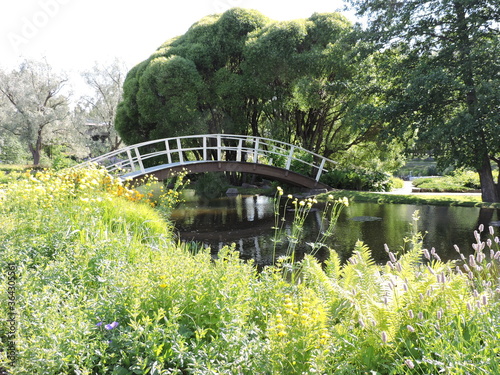 Fototapeta Naklejka Na Ścianę i Meble -  bridge in the park, Kotka, Finland