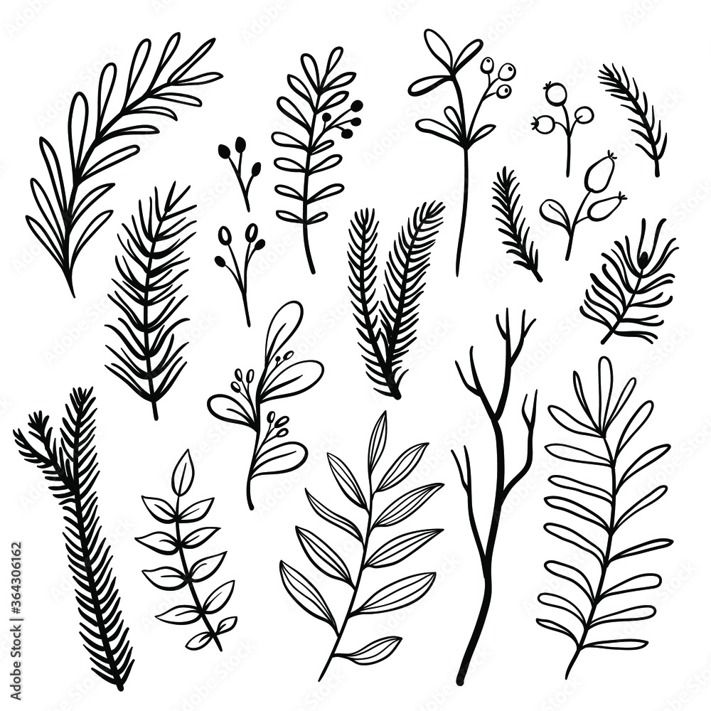 Set of hand drawn branches, leaves and berries isolated on white background. Christmas design elements. Vector illustration Set of hand drawn branches, leaves and berries isolated on white background. Christmas design elements. Vector illustration