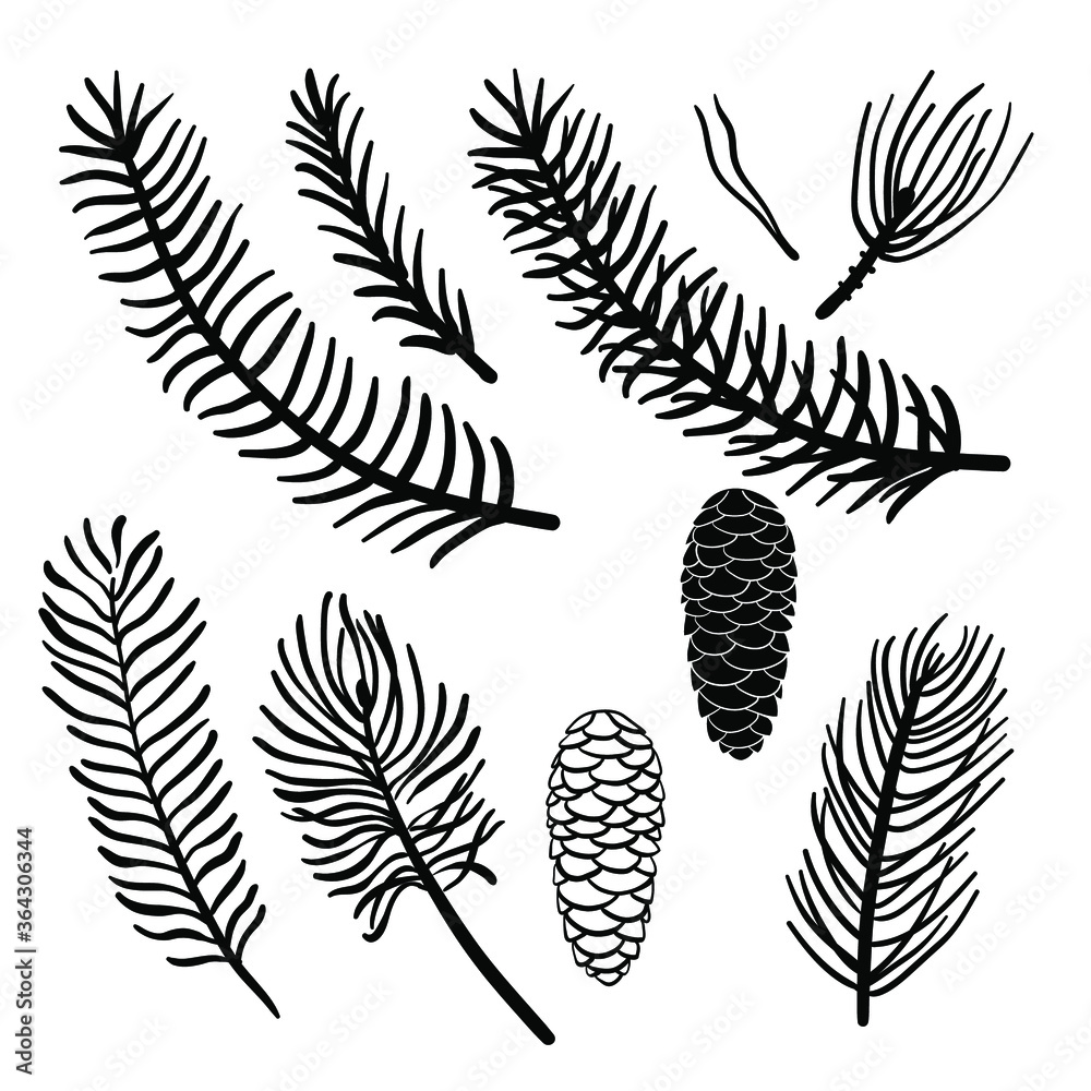 Fototapeta premium Set of hand drawn Christmas tree branches isolated on white background. Pine, fir, spruce branches and cone silhouettes. Christmas design elements. Vector illustration