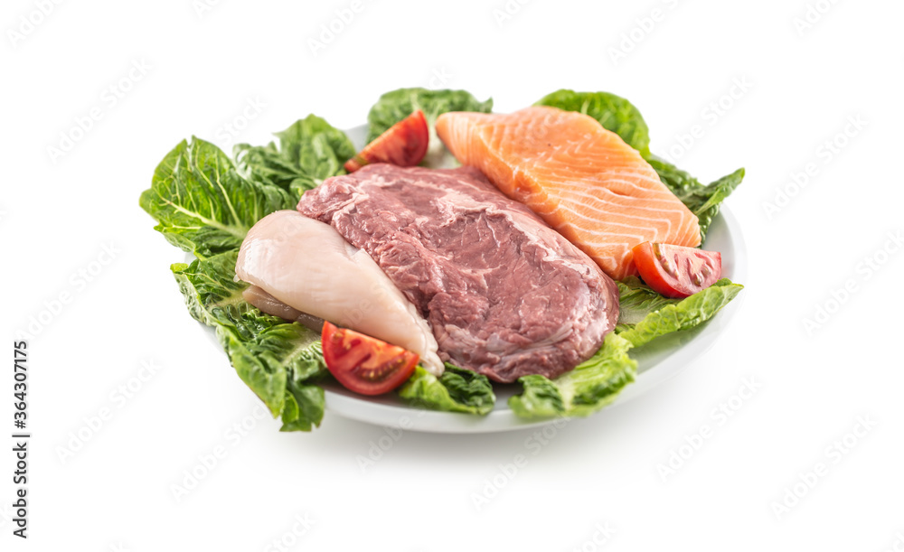 Plate of fresh meat beef chicken and salmon on a salad leaves, with isolated white background