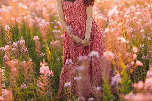Girl on blooming Sally flower field at sunset. Lilac flowers and woman