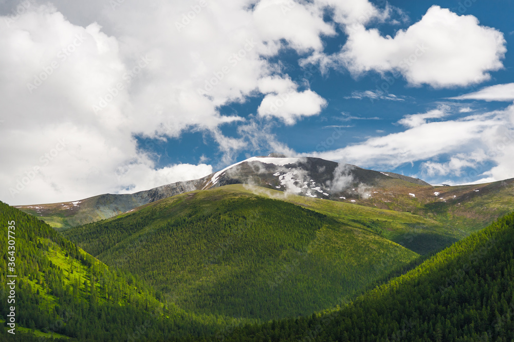 Fototapeta premium Mountains and forests of the Altai against the blue sky with clouds