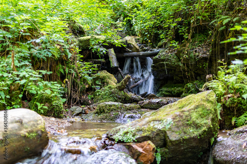 Forest landscape with an idyllic stream in Summer in South Styria, Austria