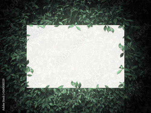 green floral flat background with white frame banner Exotic design for cosmetics, health care products, sales poster on shop, coffee tag. natural concept.
