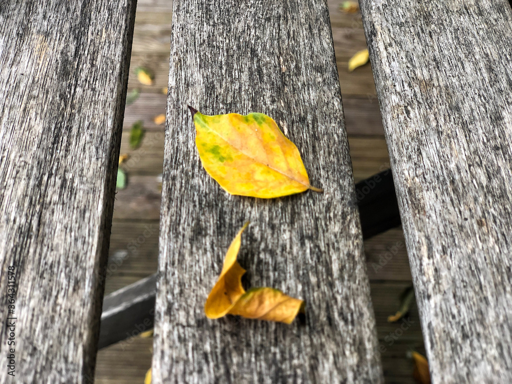 dried yellow autumn leaf on a wooden table