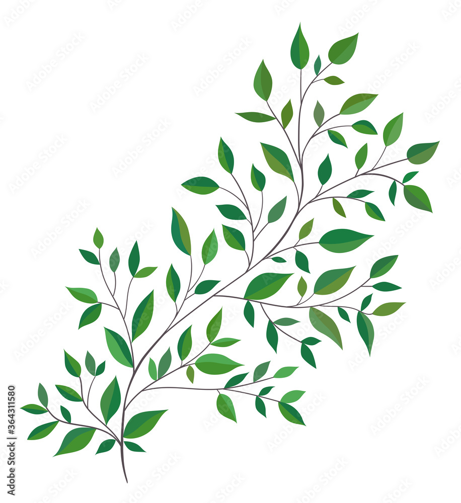 Beautiful twig with green leaves. Hand drawn vector illustration.