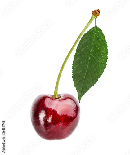 Cherry with green leaves  isolated on white background with clipping path