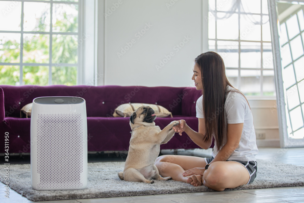 Woman playing with Dog Pug Breed and Air purifier in cozy white living room for filter and cleaning removing dust PM2.5 HEPA in home,for fresh air and healthy life,Air Pollution Concept - obrazy, fototapety, plakaty 