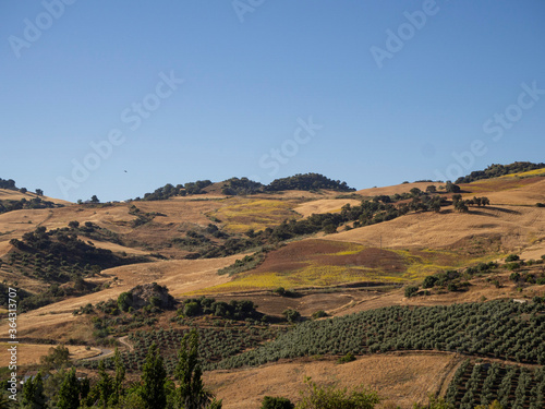 panorámica con luces del alba en un día de verano de los pueblos de la serranía de ronda.