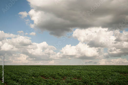 belgian countryside landscape with gray clouds © Azahara MarcosDeLeon
