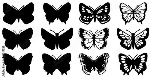 utterflies carve, shadow and line set, Vector illustration. photo