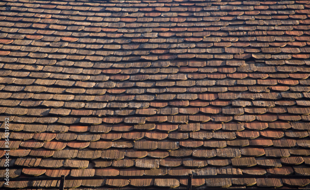 texture of the roof tile texture of the roof tile