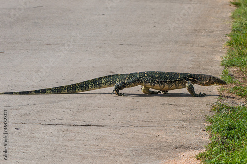 Water Monitor