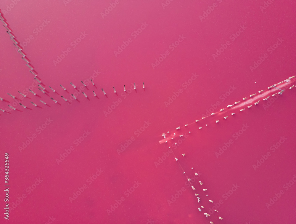 Fototapeta premium Abstract background of triangles on the salt lake; lagoon Sivash, Ukraine; recreation zone