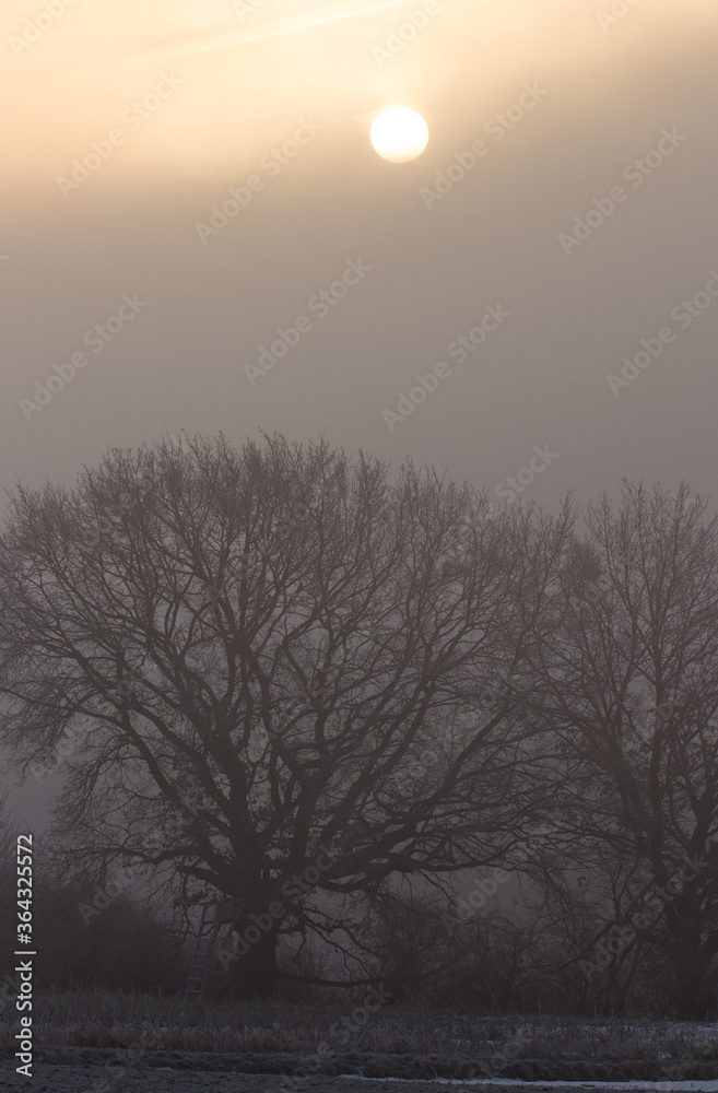 Fototapeta premium Winterstimmung