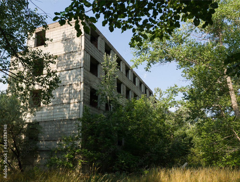 Fototapeta premium pictorial overgrown abandoned construction site