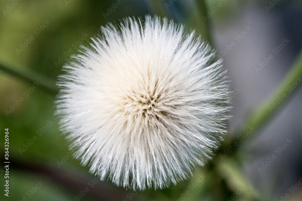 Natur Natur