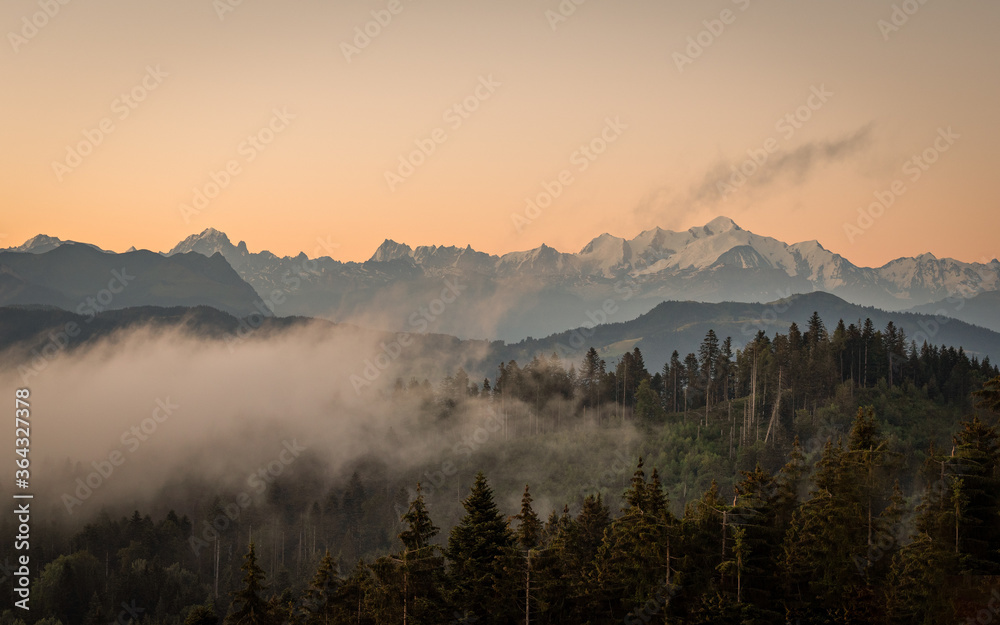 Panorama sur le lever de soleil sur le Mont-Blanc, l'aiguille verte, la grand-dru et les grandes Jorasses, brume et brouillard du matin à l'heure dorée. Avant plan avec forêt de pins. Haute-Savoie. Fr
