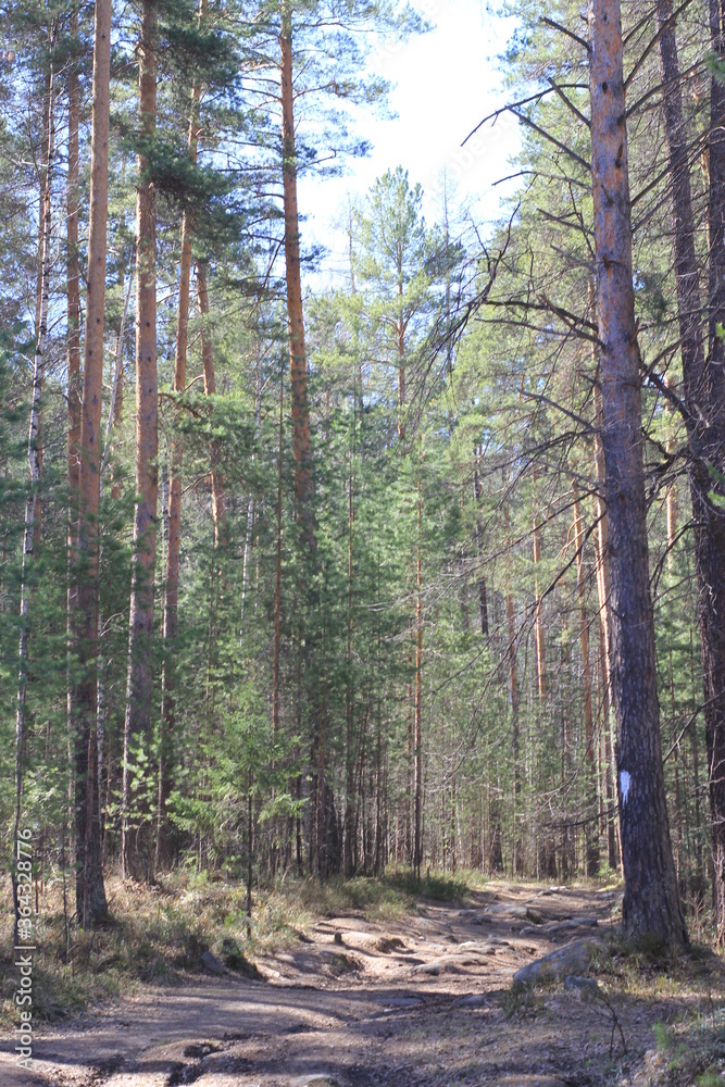 Obraz premium природа