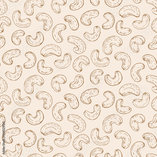 Cashew nut seed plant pattern. Hand drawn style. Retro vintage graphic design. Detailed botanical vector sketch for Organic Food, cosmetics component