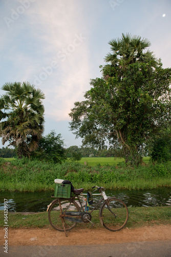vélo d'un agriculteur devant un champ de riz