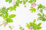 Flat lay composition with pink small flowers and green leaves on a light background