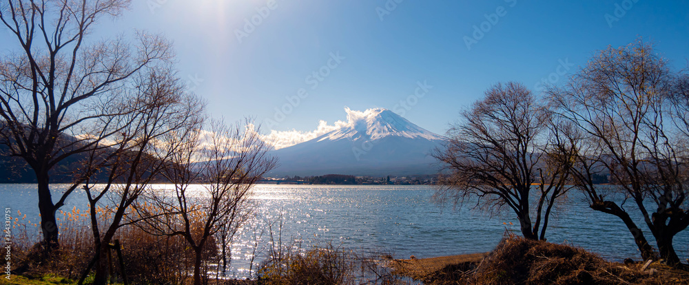 Fuji Mountain with winter tree and blue sky at Kawaguchiko lake in Japan.