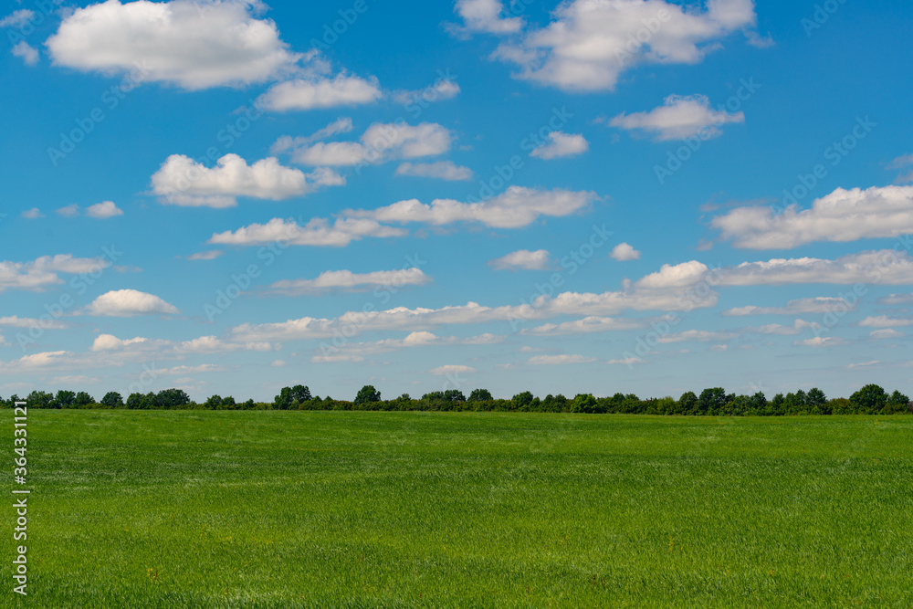 Blue sky with clouds above a field with green grass.