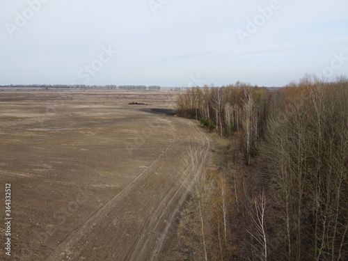 Agricultural field near the forest, aerial view. Landscape.