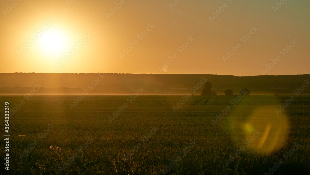 The setting sun illuminates the collective farm fields with a golden light