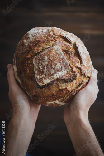 Baked bread of sourdough in hands. Artisan bread. The bread of sourdough, homemade and natural creation. The sourdough has natural yeast, which makes the food healthier, as well as rich. photo