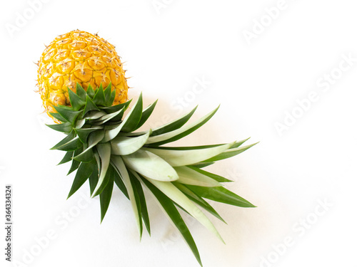 Fresh, yellow, ripe pineapple fruit with green leaves isolated on a white background. Healthy tropical fruit for smoothies and cooking. Freshly picked pineapple fruit with green leaves.