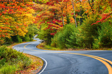 Winding road curves through scenic autumn foliage trees in New England.