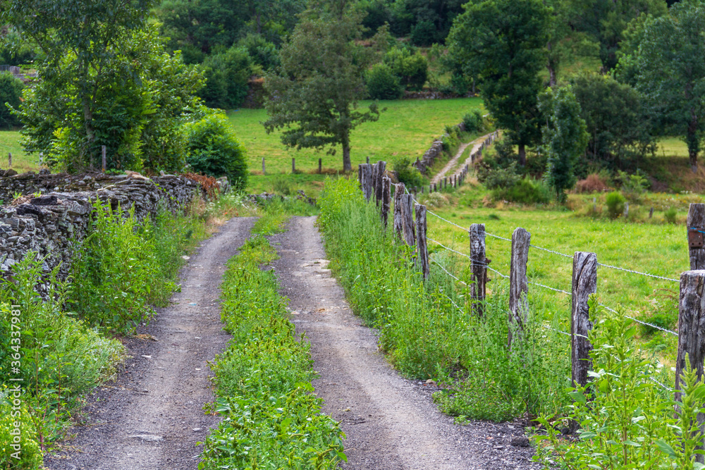 road in a rural environment full of vegetation