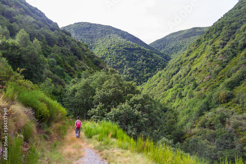 escape into the wild in the mountains