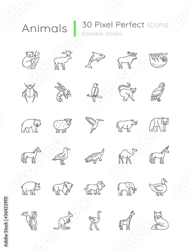 Animals pixel perfect linear icons set. Different wildlife  diverse fauna customizable thin line contour symbols. Flying  land and sea creatures. Isolated vector outline illustrations. Editable stroke