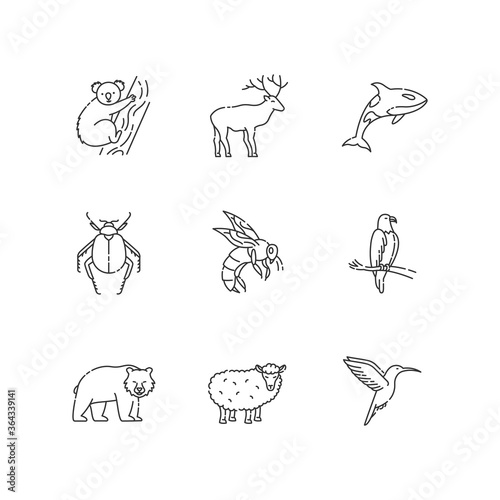 Photography Animal species pixel perfect linear icons set