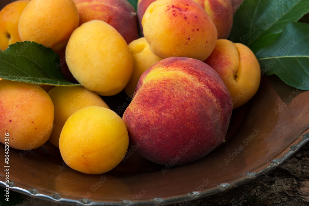Ripe peaches and apricots on a copper plate and the textural natural wooden background Ripe peaches and apricots on a copper plate and the textural natural wooden background