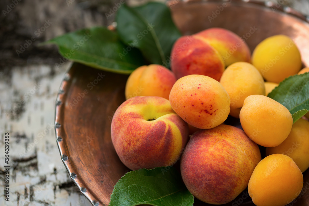 Ripe peaches and apricots on a copper plate and the textural natural wooden background Ripe peaches and apricots on a copper plate and the textural natural wooden background