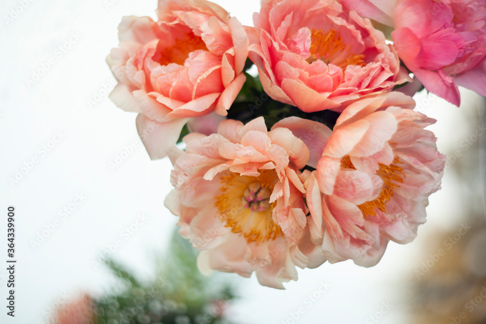 Beautiful bouquet of pink peonies in a glass vase. Flowers in a vase on a mirror table. Peonies with bokeh. Beautiful bouquet of pink peonies in a glass vase. Flowers in a vase on a mirror table. Peonies with bokeh.