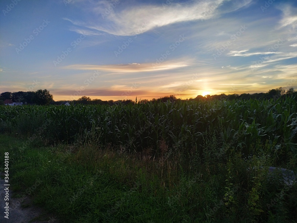 sunset over the river