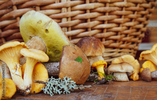 different types of edible mushrooms on a wooden table against the background of a wicker basket