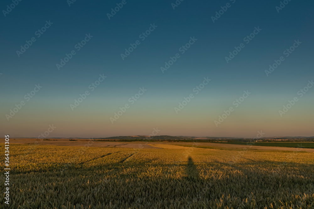 In middle of dry field in sunset color evening near Melcany village with moon