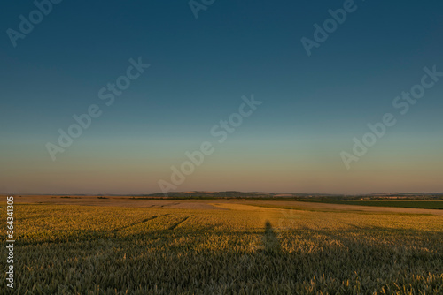 In middle of dry field in sunset color evening near Melcany village with moon