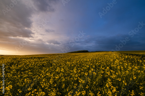 Spring rapeseed and small farmlands fields after rain evening view  cloudy pre sunset sky with colorful rainbow and rural hills. Natural seasonal  weather  climate  countryside beauty concept scene.